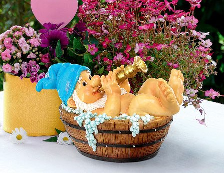 Whimsical Garden