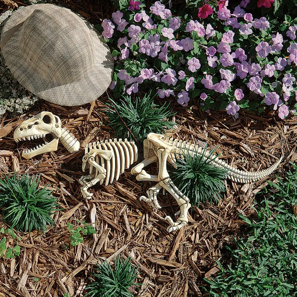Raptor Dinosaur Skeleton Fossil Garden Statue