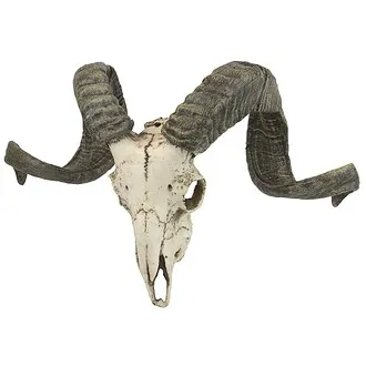 Corsican Ram Skull and Horns Trophy Wall Sculpture