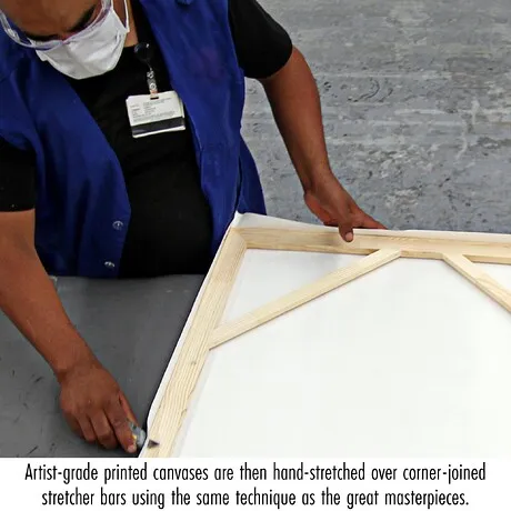 Valkyrie Framed Canvas Replica Painting: Small