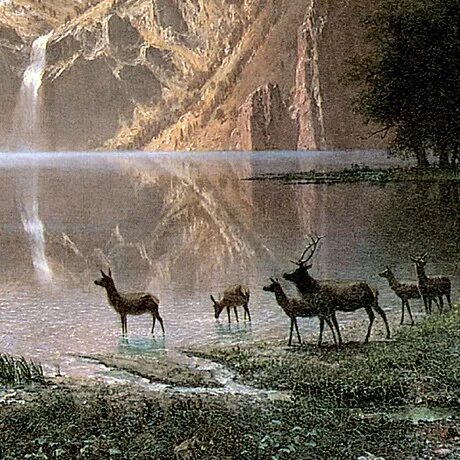 Among the Sierra Nevada Framed Canvas Replica Painting: Medium