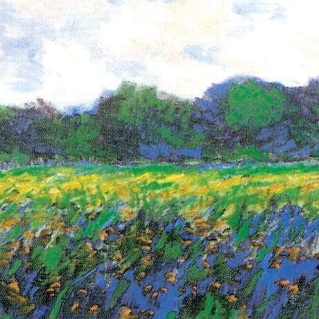 Field of Yellow Irises at Giverny Framed Canvas Replica Painting: Small