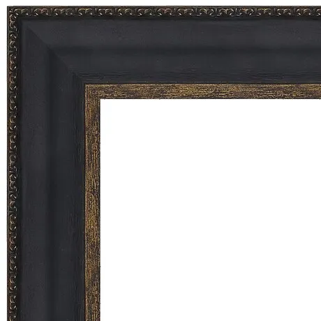 Water Lilies Framed Canvas Replica Painting: Small