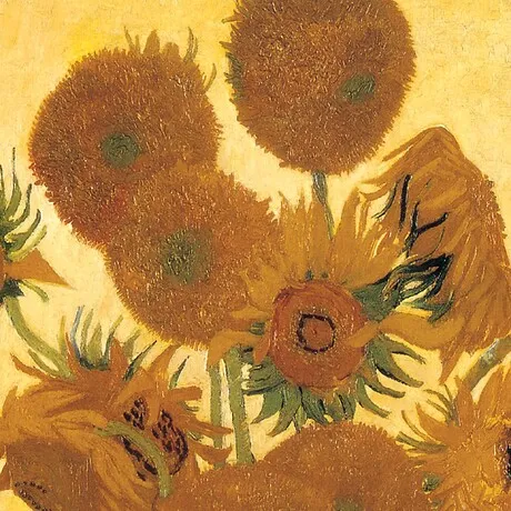 Sunflowers Framed Canvas Replica Painting: Small