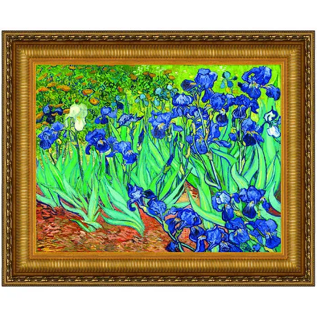 Irises Framed Canvas Replica Painting: Small