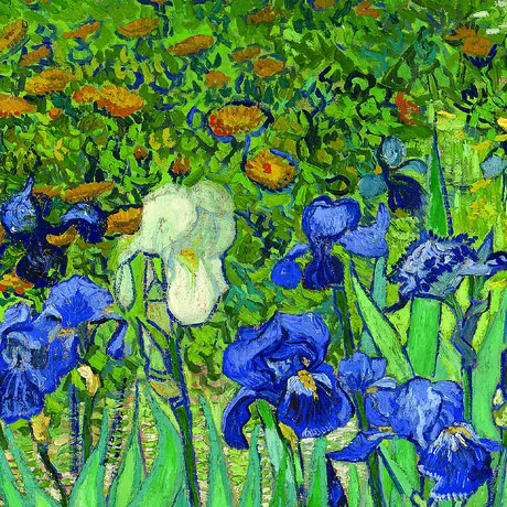 Irises Framed Canvas Replica Painting: Medium