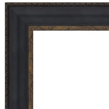Sentinel of the Plains Framed Canvas Replica Painting: Small