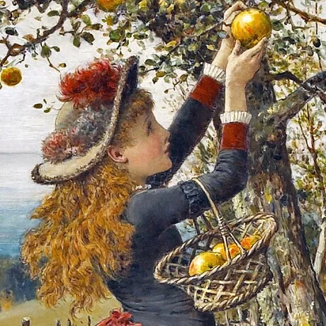 Picking Apples Framed Canvas Replica Painting: Large