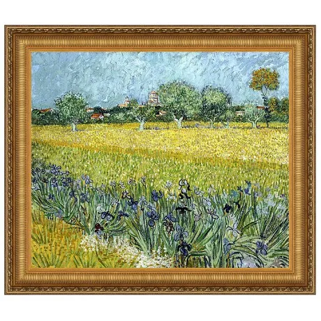Field with Flowers near Arles Framed Canvas Replica Painting: Grande