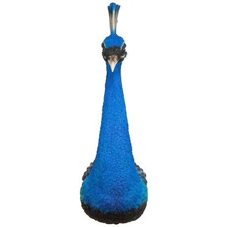 Prized Peacock Trophy Wall Sculpture