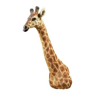African Giraffe Trophy Wall Sculpture