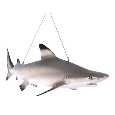 Blacktip Shark Ceiling Mount Trophy Statue