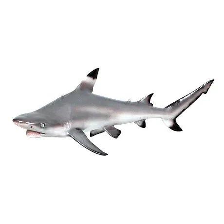 Blacktip Shark Ceiling Mount Trophy Statue