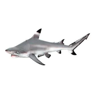 Blacktip Shark Ceiling Mount Trophy Statue