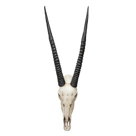 Gemsbok African Wall Trophy