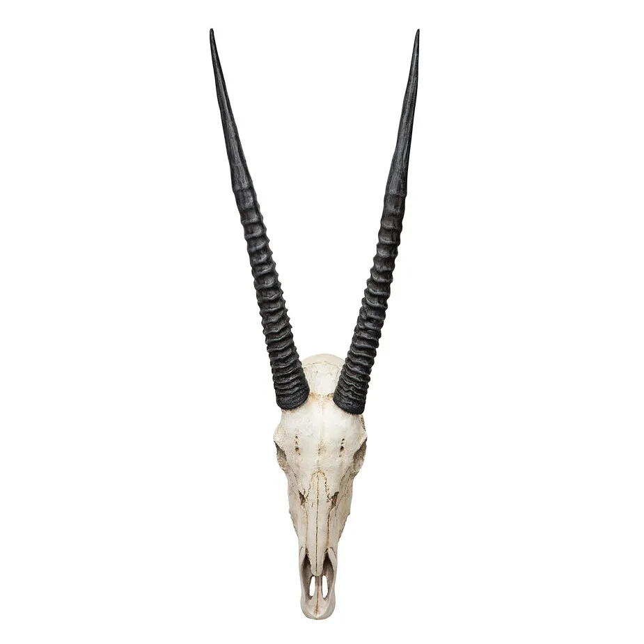 Gemsbok African Wall Trophy