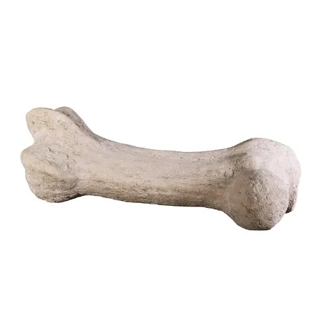 Gigantic Dinosaur Bone Fossil Statue