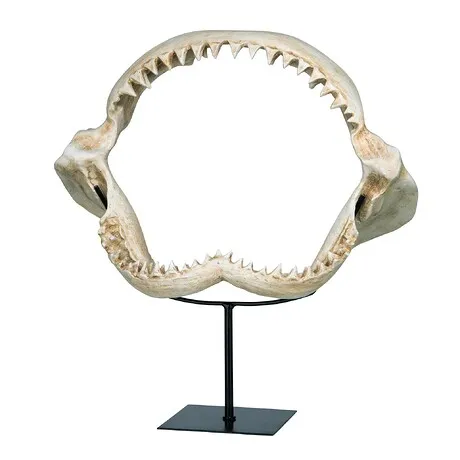 Shark's Jagged Jaws Statue