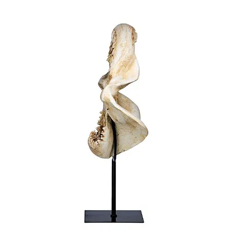 Shark's Jagged Jaws Statue