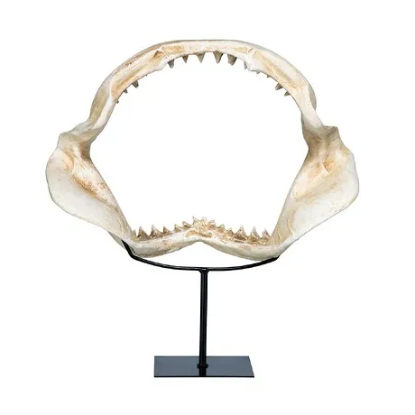 Shark's Jagged Jaws Statue