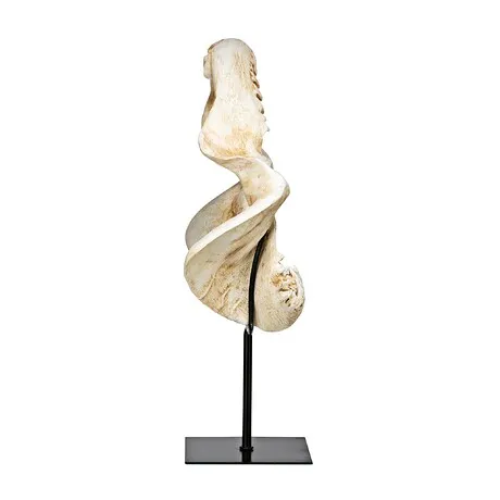 Shark's Jagged Jaws Statue