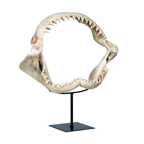 Shark's Jagged Jaws Statue