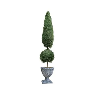 Classic Topiary Tree Collection: Small