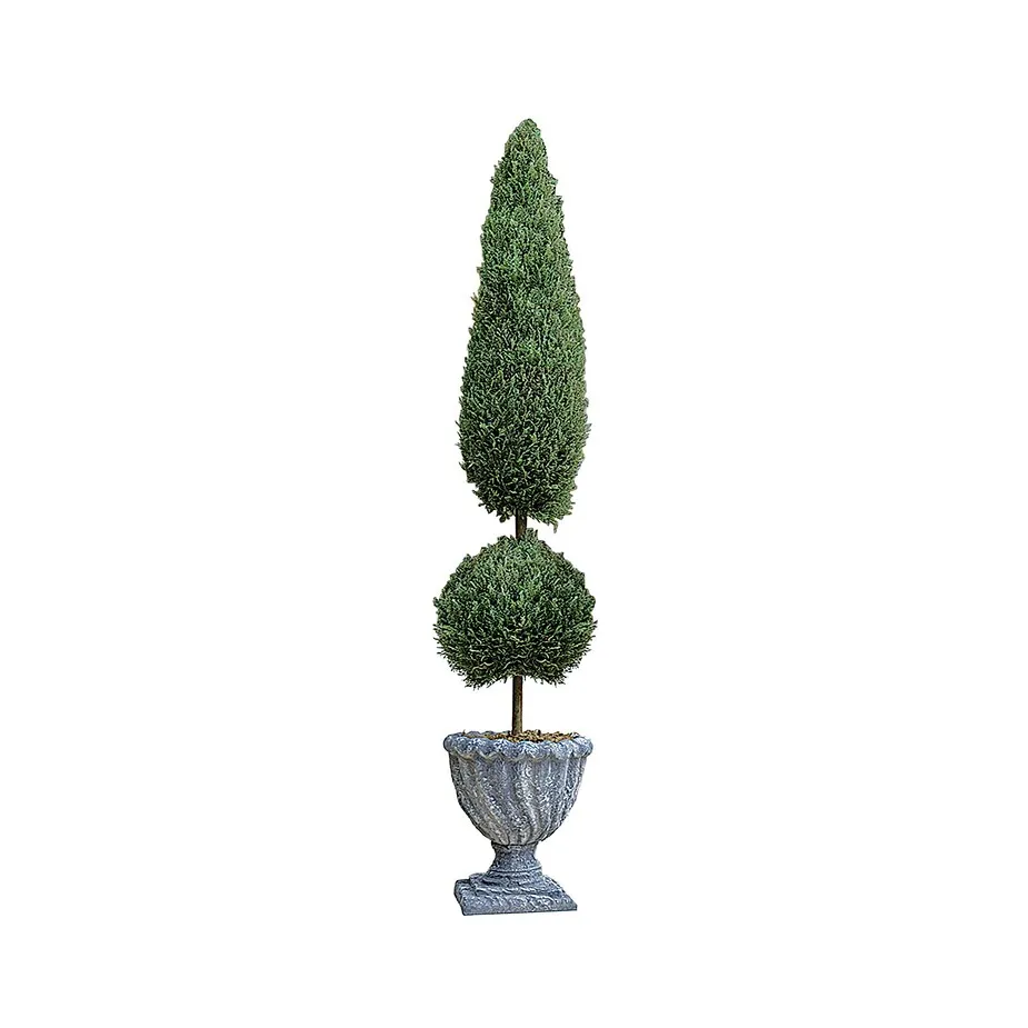 Classic Topiary Tree Collection: Small