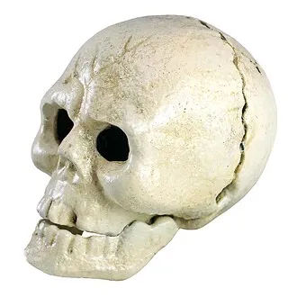 Pop Your Top Skeleton Skull Cast Iron Bottle Opener